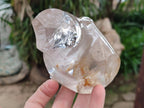 Polished Smokey Window Quartz Flames x 2 From Madagascar