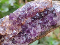 Natural Agate with Amethyst Geodes and Crystal Plates x 12 From Zululand, South Africa