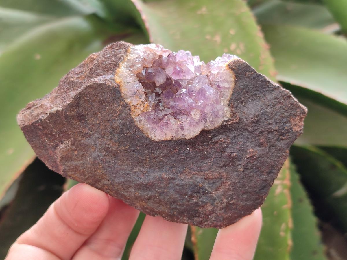 Natural Agate with Amethyst Geodes and Crystal Plates x 12 From Zululand, South Africa