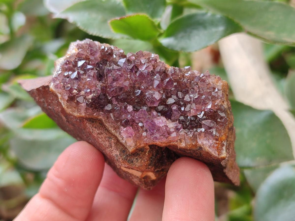 Natural Agate with Amethyst Geodes and Crystal Plates x 12 From Zululand, South Africa