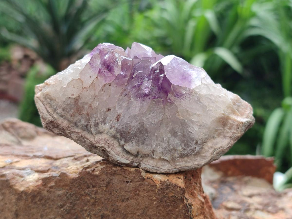 Natural Agate with Amethyst Geodes and Crystal Plates x 12 From Zululand, South Africa