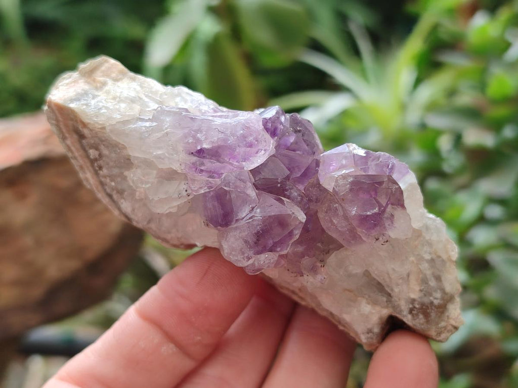 Natural Agate with Amethyst Geodes and Crystal Plates x 12 From Zululand, South Africa