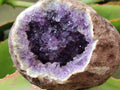 Natural Agate with Amethyst Geodes and Crystal Plates x 12 From Zululand, South Africa