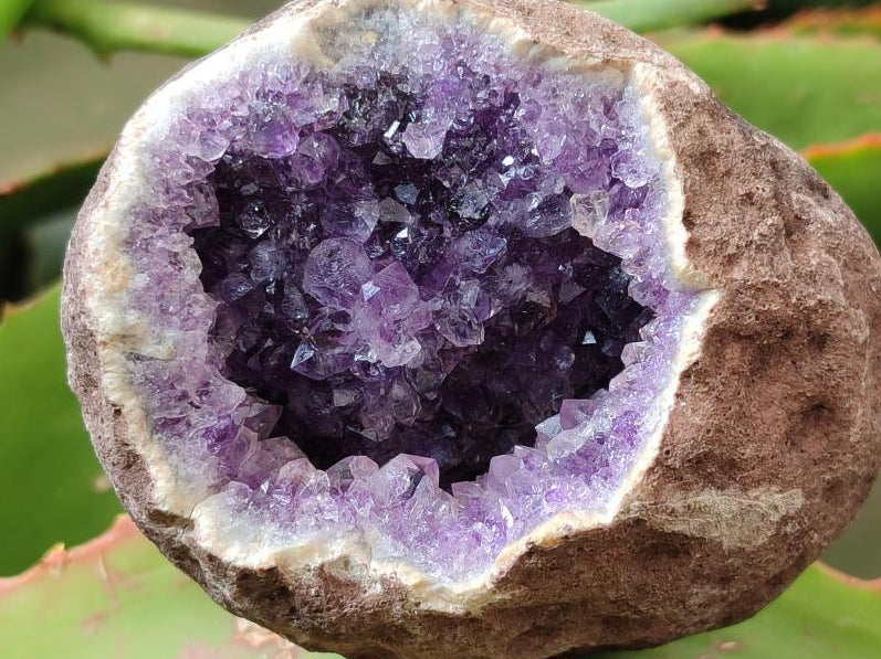 Natural Agate with Amethyst Geodes and Crystal Plates x 12 From Zululand, South Africa