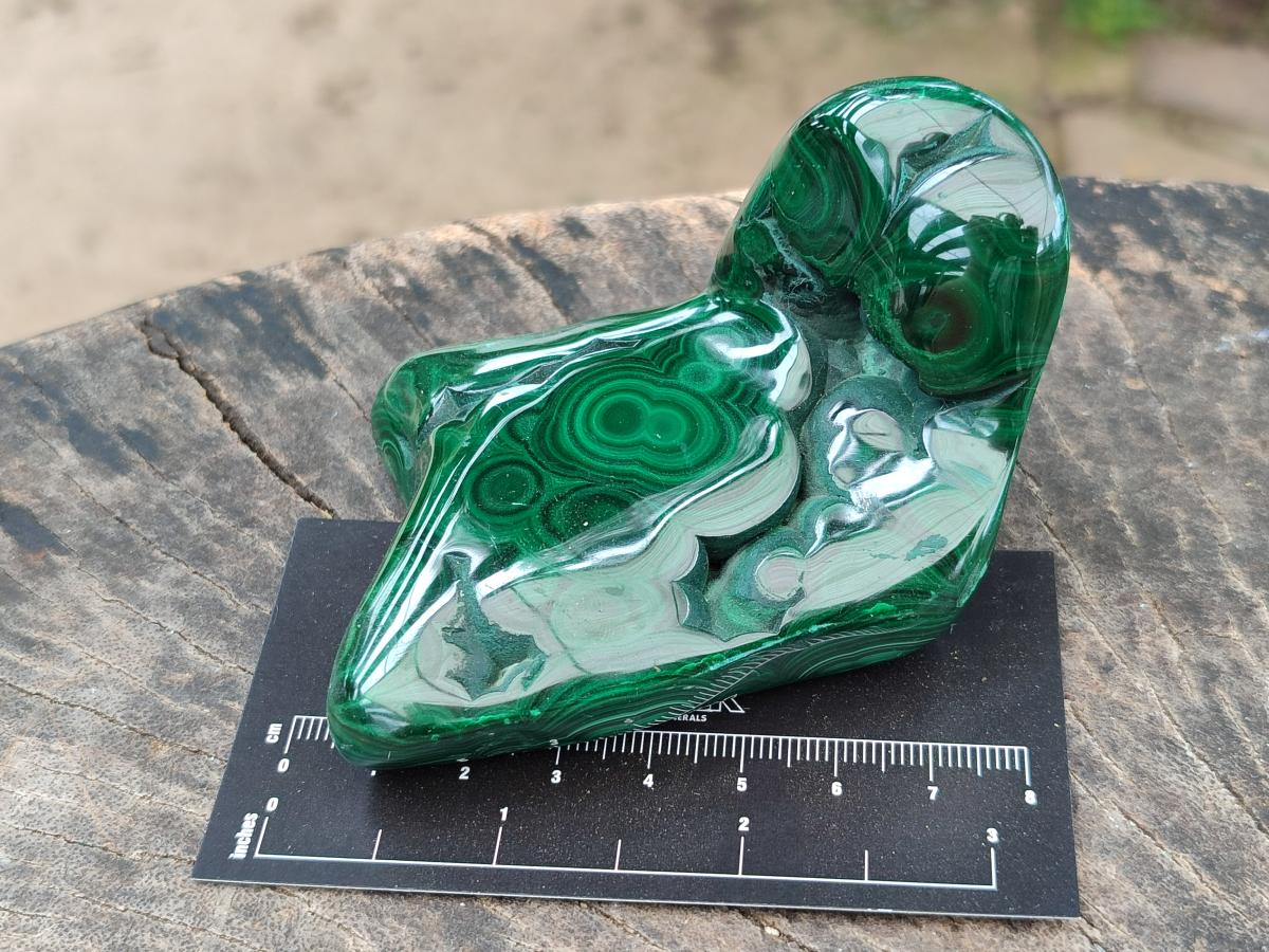 Polished Flower Banded Malachite Free Forms x 6 From Congo - Toprock Gemstones and Minerals 