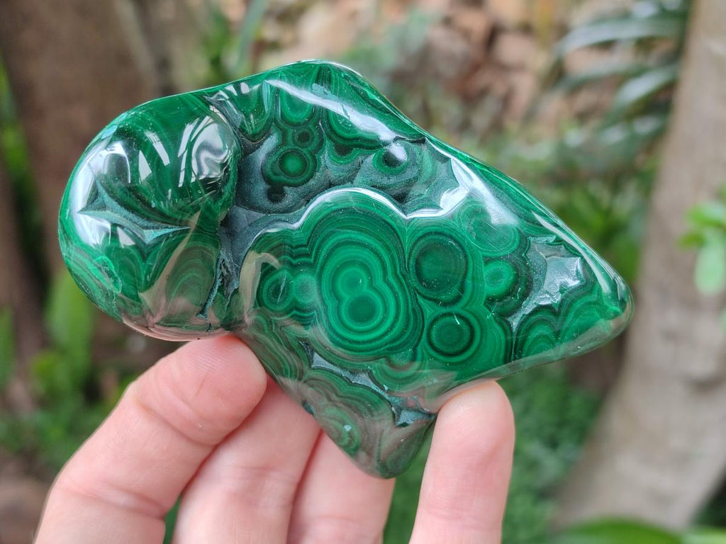 Polished Flower Banded Malachite Free Forms x 6 From Congo - Toprock Gemstones and Minerals 