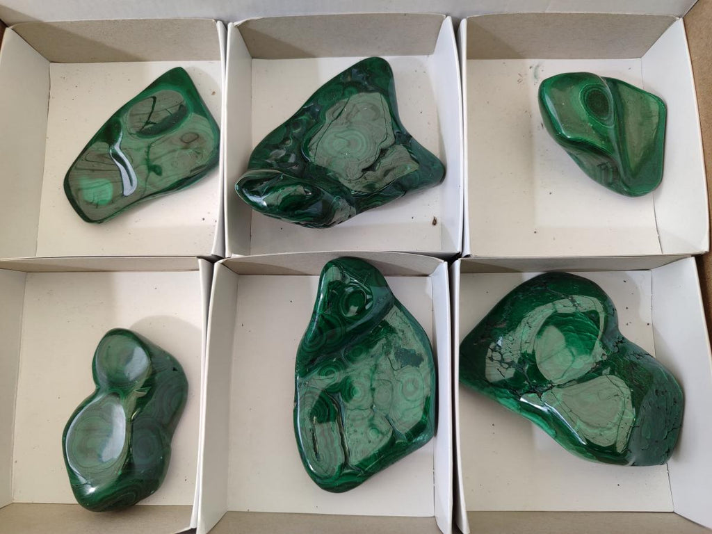 Polished Flower Banded Malachite Free Forms x 6 From Congo - Toprock Gemstones and Minerals 