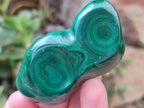 Polished Flower Banded Malachite Free Forms x 6 From Congo - Toprock Gemstones and Minerals 