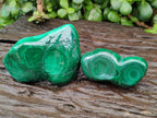 Polished Flower Banded Malachite Free Forms x 6 From Congo - Toprock Gemstones and Minerals 