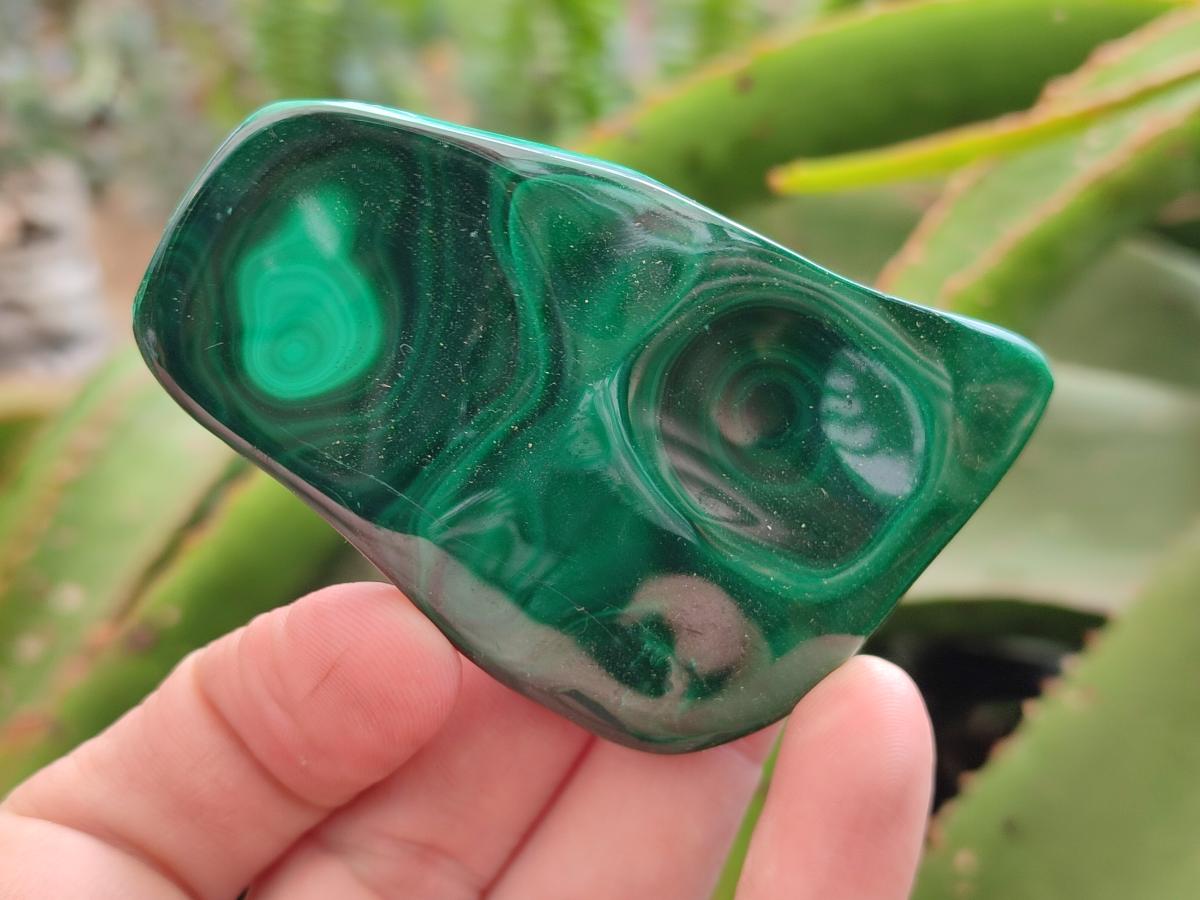 Polished Flower Banded Malachite Free Forms x 6 From Congo - Toprock Gemstones and Minerals 