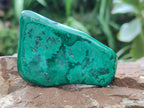 Polished Flower Banded Malachite Free Forms x 6 From Congo - Toprock Gemstones and Minerals 