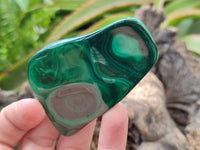 Polished Flower Banded Malachite Free Forms x 6 From Congo