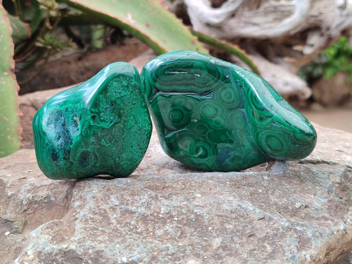 Polished Flower Banded Malachite Free Forms x 6 From Congo - Toprock Gemstones and Minerals 