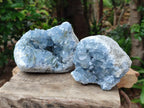 Natural Blue Celestite Geode Specimens x 2 From Sakoany, Madagascar