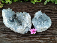 Natural Blue Celestite Geode Specimens x 2 From Sakoany, Madagascar