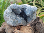 Natural Blue Celestite Geode Specimens x 2 From Sakoany, Madagascar