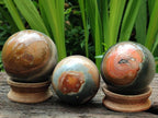 Polished Polychrome Jasper Spheres x 3 From NW Coast, Madagascar