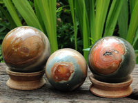 Polished Polychrome Jasper Spheres x 3 From NW Coast, Madagascar