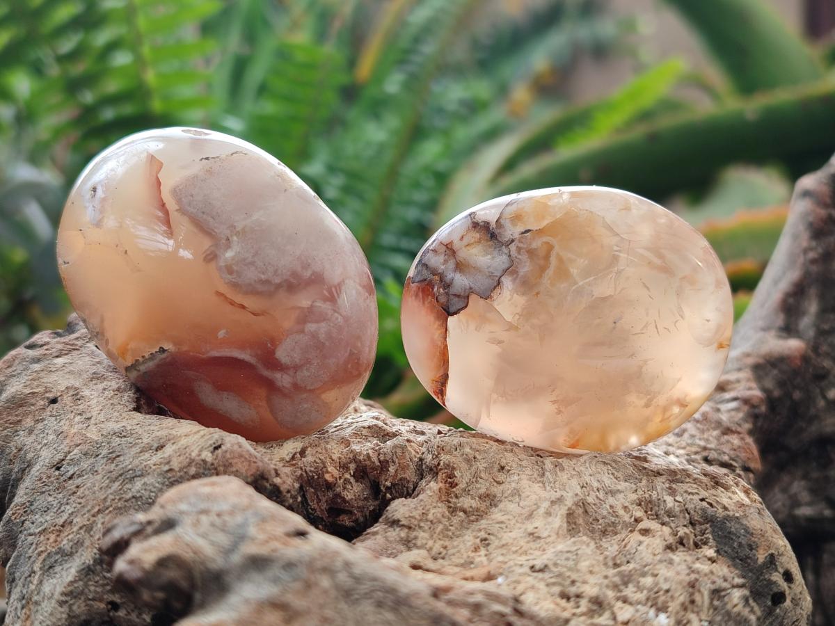 Polished Flower Agate Palm Stones x 12 From Antsahalova, Madagascar