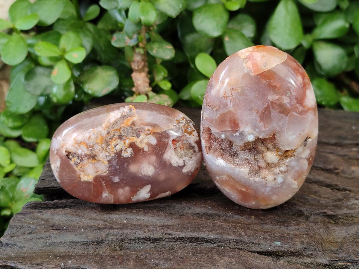Polished Flower Agate Palm Stones x 12 From Antsahalova, Madagascar