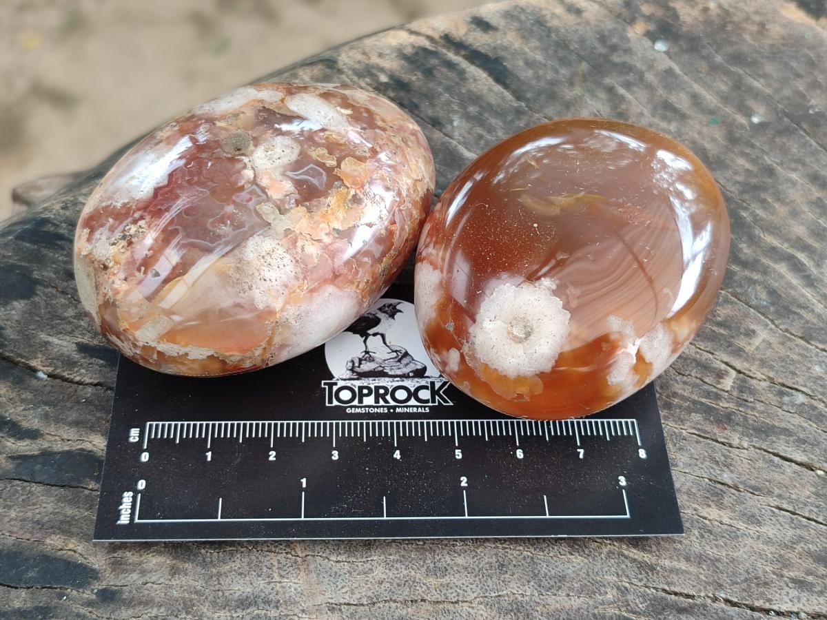 Polished Flower Agate Palm Stones x 12 From Antsahalova, Madagascar - Toprock Gemstones and Minerals 