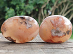 Polished Flower Agate Palm Stones x 12 From Antsahalova, Madagascar - Toprock Gemstones and Minerals 