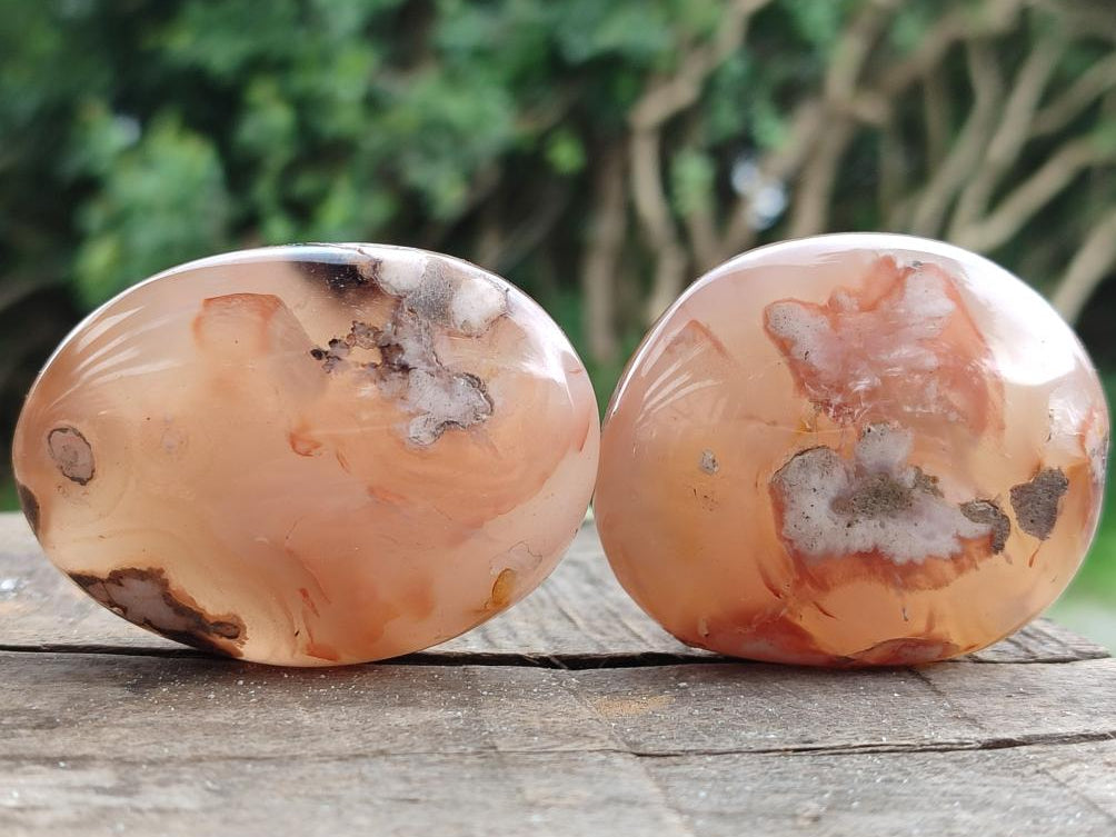 Polished Flower Agate Palm Stones x 12 From Antsahalova, Madagascar