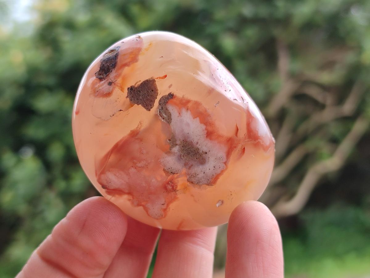 Polished Flower Agate Palm Stones x 12 From Antsahalova, Madagascar