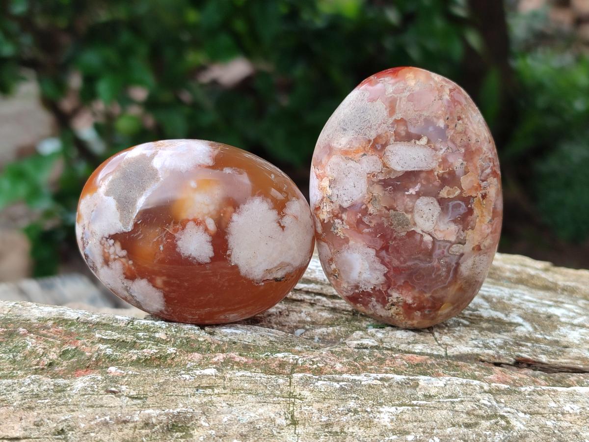 Polished Flower Agate Palm Stones x 12 From Antsahalova, Madagascar