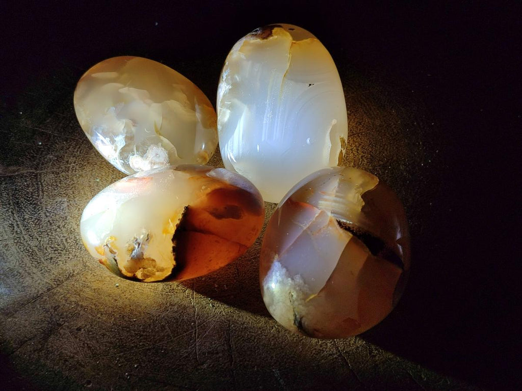 Polished Flower Agate Palm Stones x 12 From Antsahalova, Madagascar - Toprock Gemstones and Minerals 