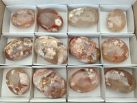 Polished Flower Agate Palm Stones x 12 From Antsahalova, Madagascar