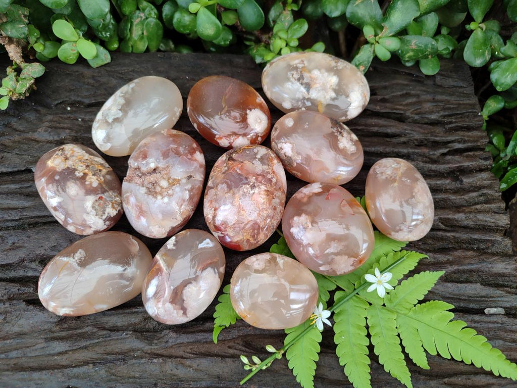 Polished Flower Agate Palm Stones x 12 From Antsahalova, Madagascar - Toprock Gemstones and Minerals 