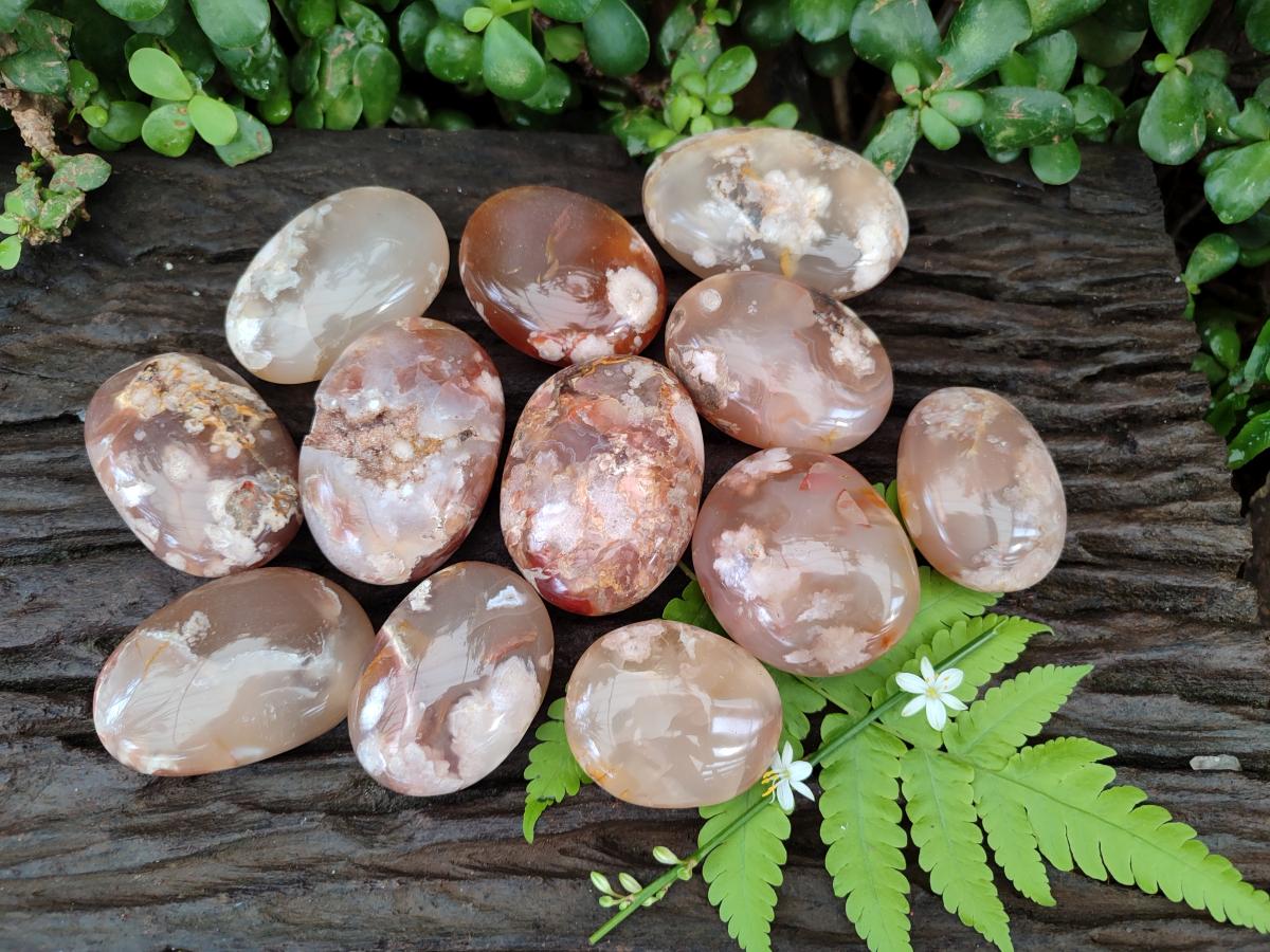 Polished Flower Agate Palm Stones x 12 From Antsahalova, Madagascar