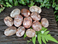Polished Flower Agate Palm Stones x 12 From Antsahalova, Madagascar