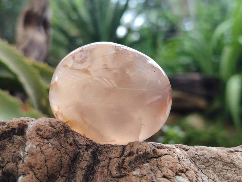 Polished Flower Agate Palm Stones x 12 From Antsahalova, Madagascar - Toprock Gemstones and Minerals 