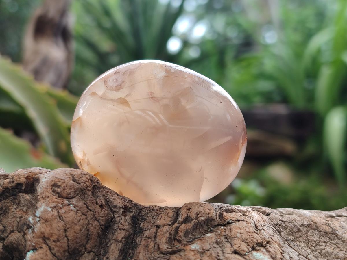 Polished Flower Agate Palm Stones x 12 From Antsahalova, Madagascar - Toprock Gemstones and Minerals 