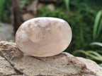 Polished Flower Agate Palm Stones x 12 From Antsahalova, Madagascar - Toprock Gemstones and Minerals 