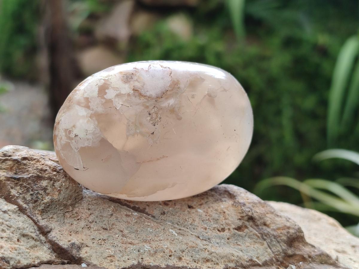 Polished Flower Agate Palm Stones x 12 From Antsahalova, Madagascar - Toprock Gemstones and Minerals 