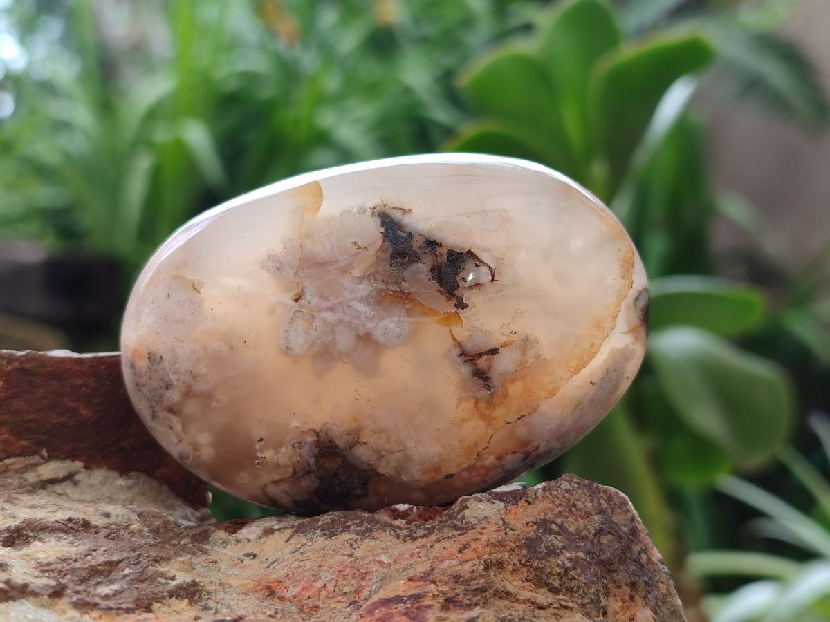 Polished Flower Agate Palm Stones x 12 From Antsahalova, Madagascar