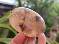 Polished Flower Agate Palm Stones x 12 From Antsahalova, Madagascar