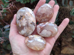 Polished Flower Agate Palm Stones x 12 From Antsahalova, Madagascar - Toprock Gemstones and Minerals 