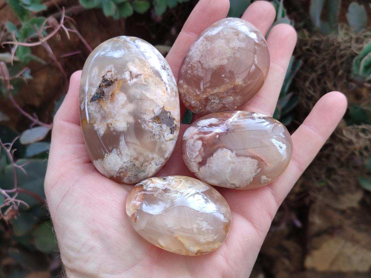 Polished Flower Agate Palm Stones x 12 From Antsahalova, Madagascar