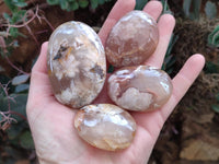 Polished Flower Agate Palm Stones x 12 From Antsahalova, Madagascar
