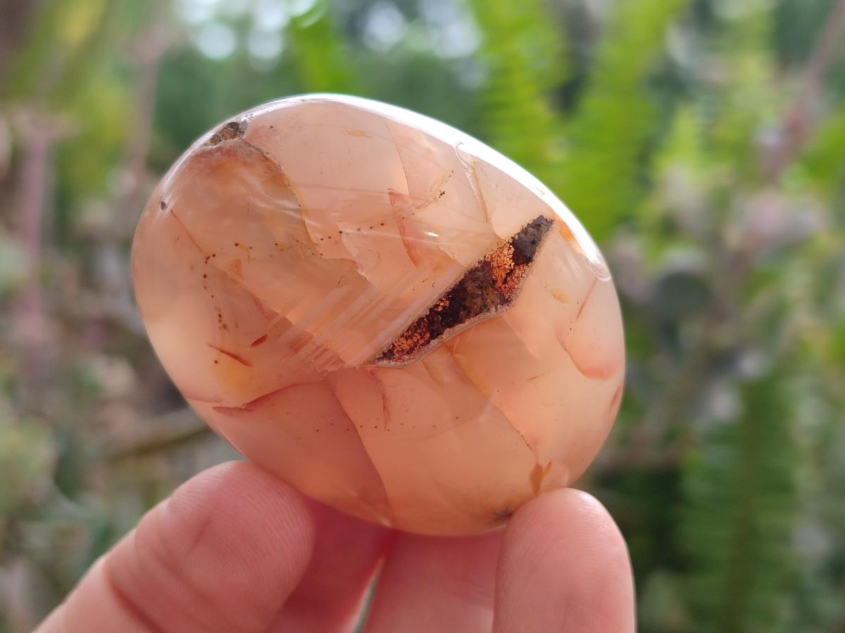 Polished Flower Agate Palm Stones x 12 From Antsahalova, Madagascar
