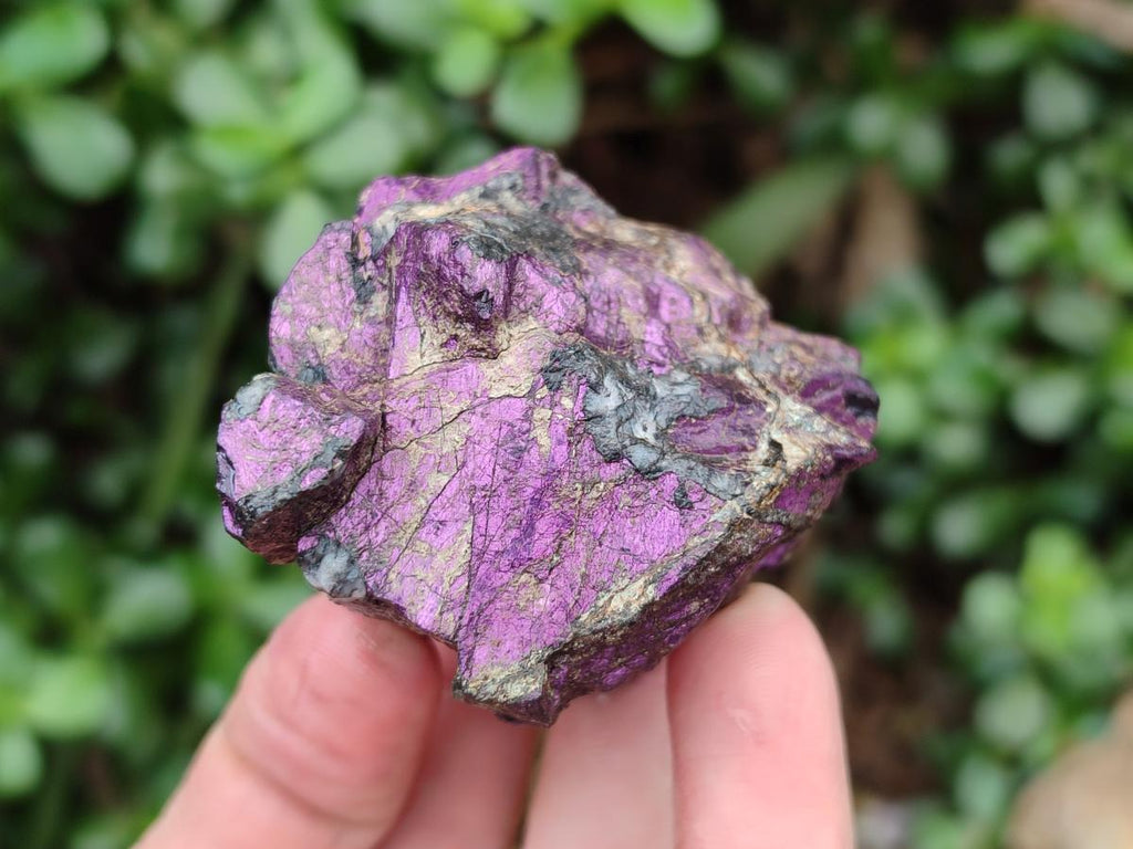 Natural Metallic Cobbed Purpurite Specimens x 12 From Erongo, Namibia