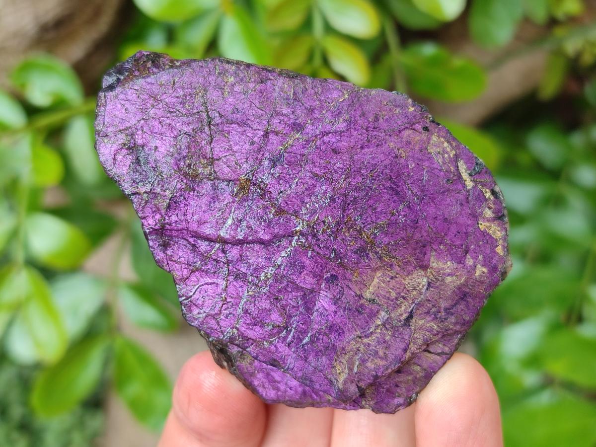 Natural Metallic Cobbed Purpurite Specimens x 12 From Erongo, Namibia