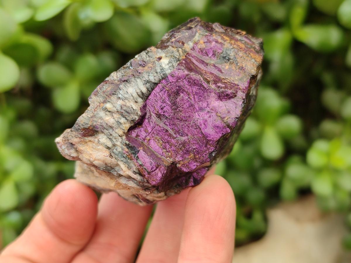 Natural Metallic Cobbed Purpurite Specimens x 12 From Erongo, Namibia