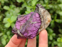 Natural Metallic Cobbed Purpurite Specimens x 12 From Erongo, Namibia