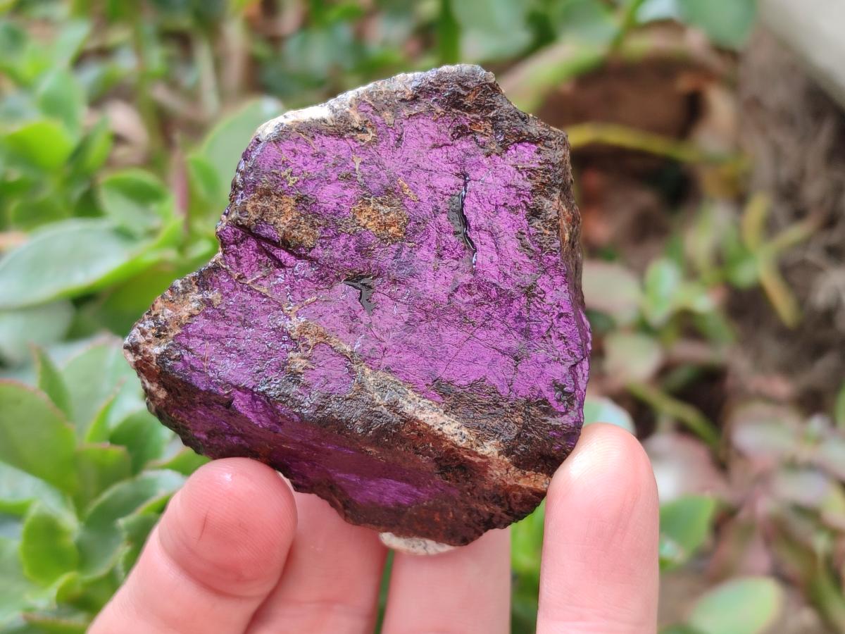 Natural Metallic Cobbed Purpurite Specimens x 12 From Erongo, Namibia
