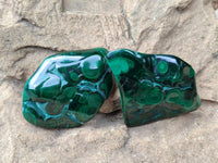 Polished Flower Banded Malachite Free Forms x 6 From Congo